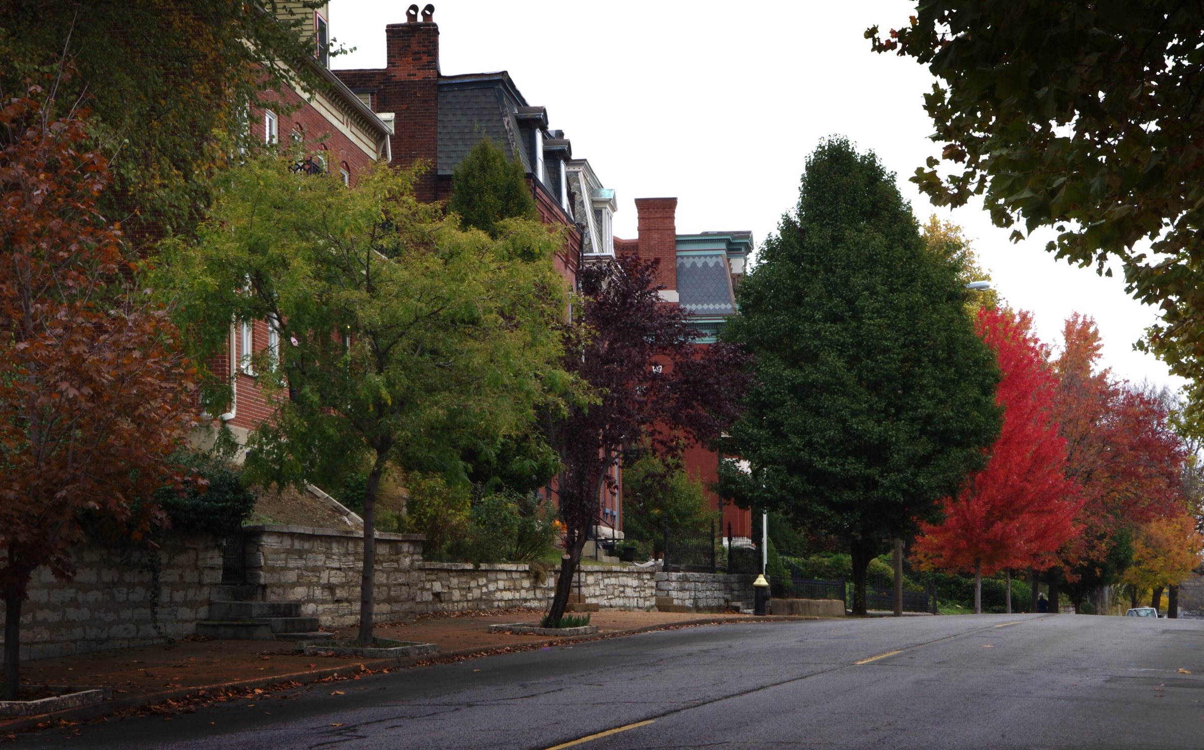 Autumn on a historic St. Louis street