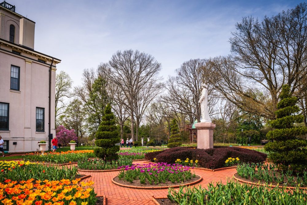Spring tulips at the Missouri Botanical Garden