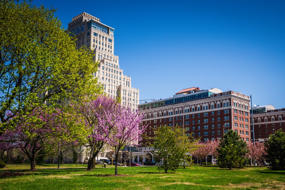 The Central West End from Forest Park